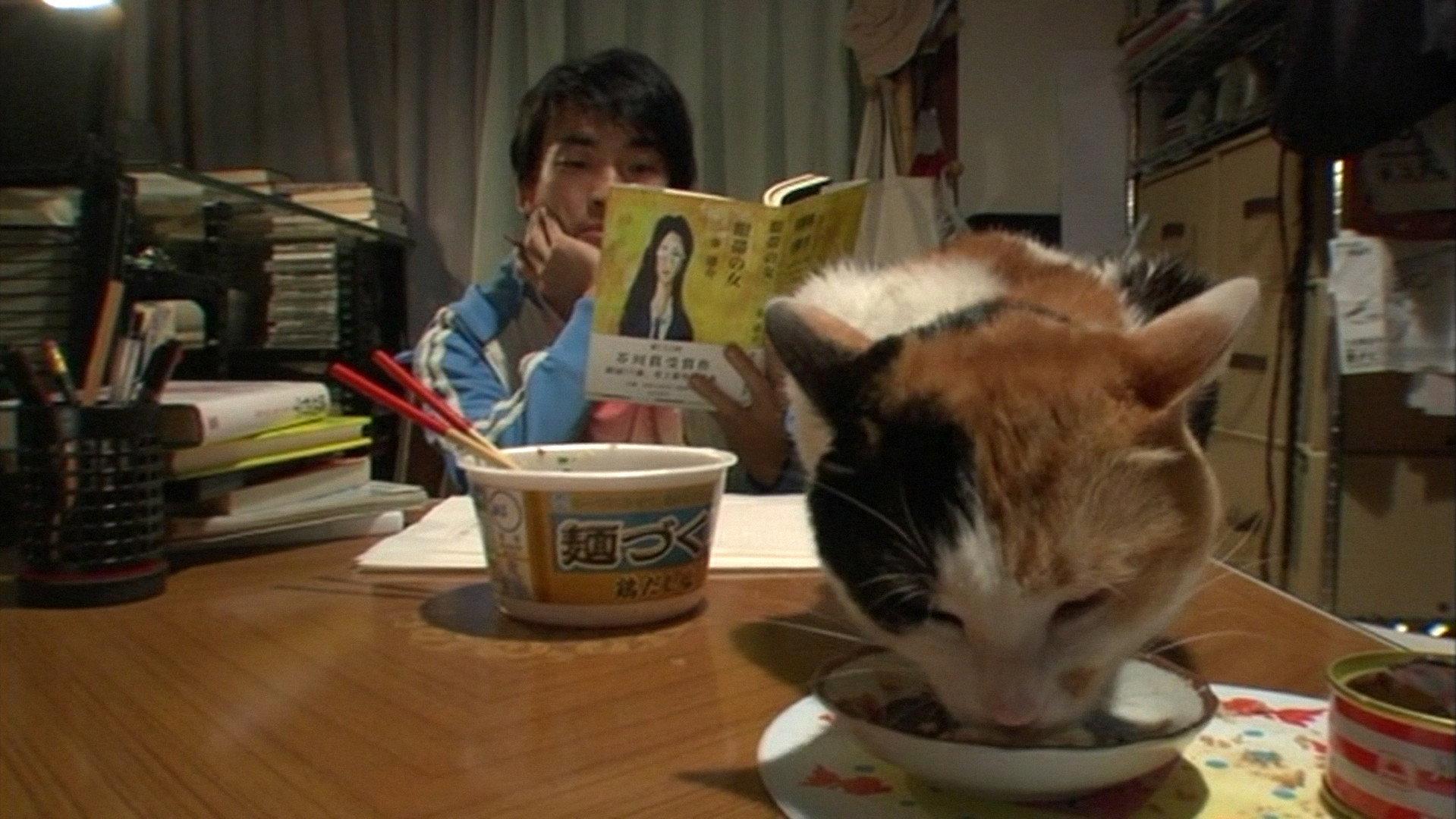 Cat and Goldfish Love Story 2006 movie scene