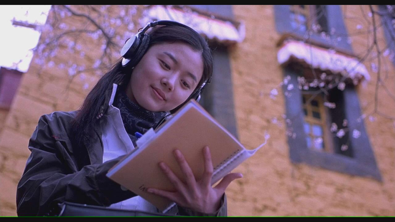 Snow Lotus 2008 movie scene