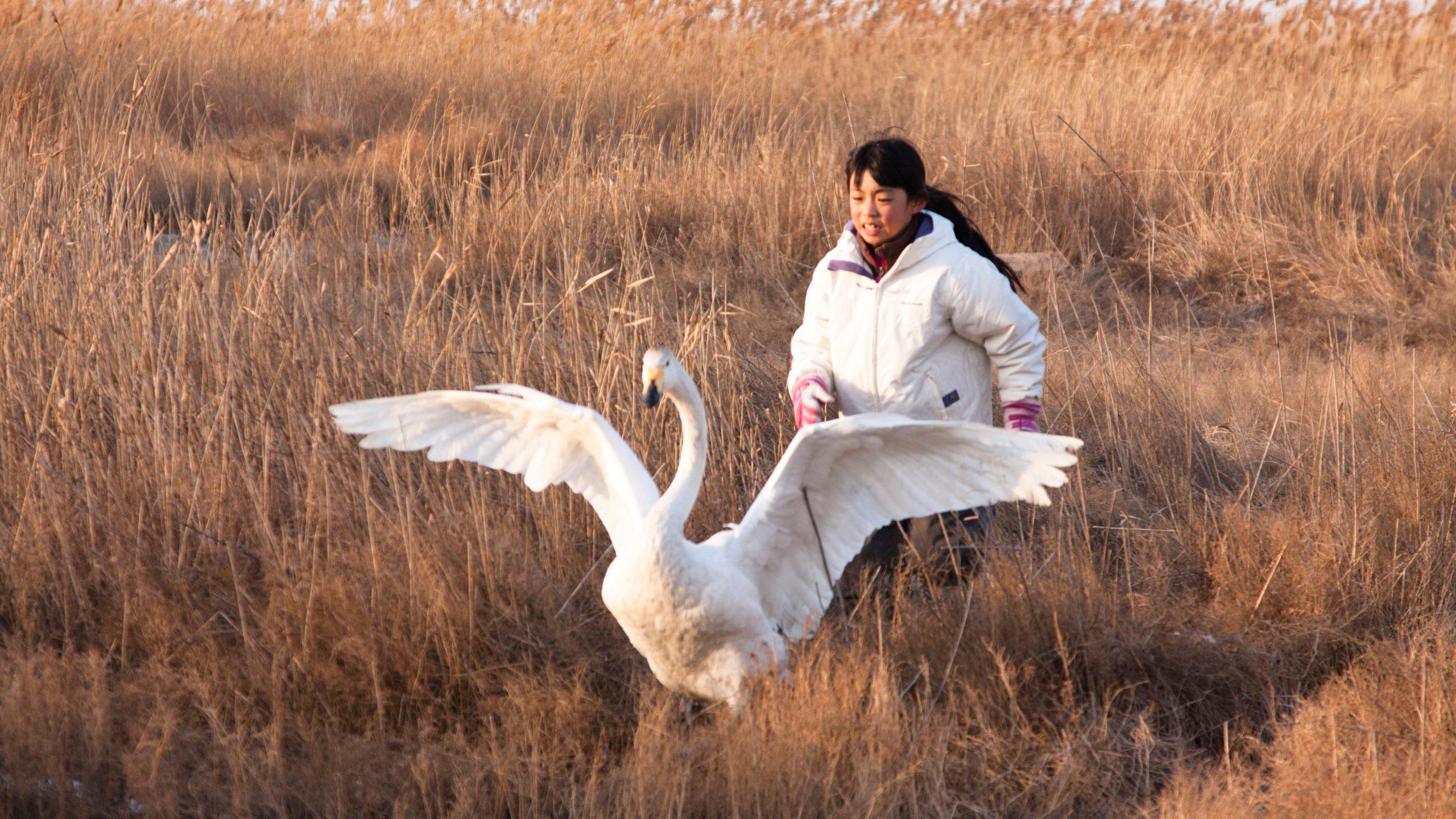 I Swan 2012 movie scene