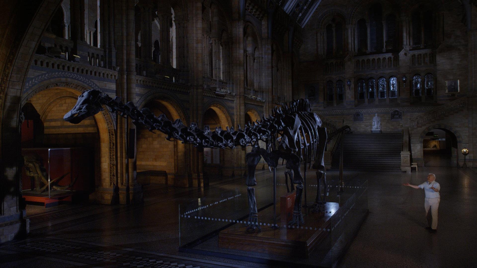 David Attenborough's Natural History Museum Alive 2014 movie scene