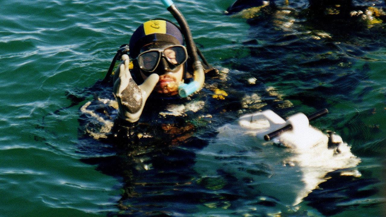 The Bottom of the Sea 2003 movie scene