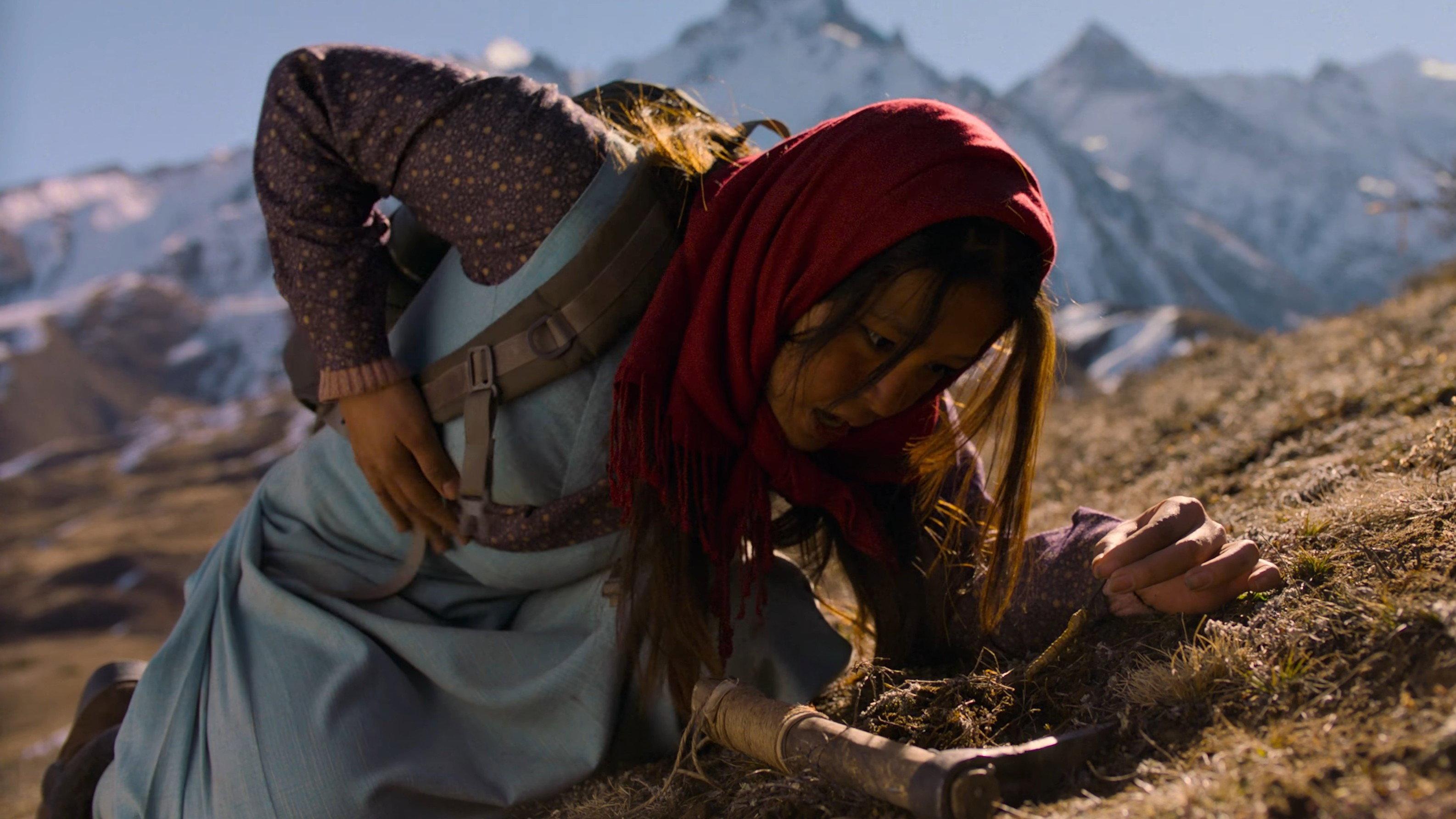 Himalayan Gold 2026 movie scene