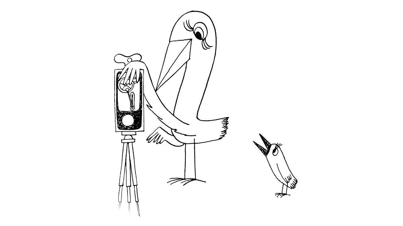 Strange Birds 1965 movie scene