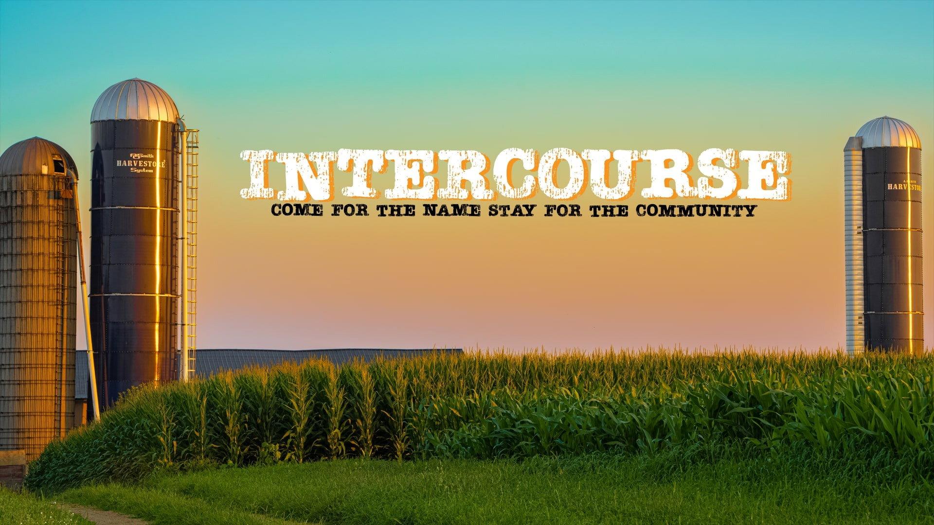 Intercourse 2023 movie scene