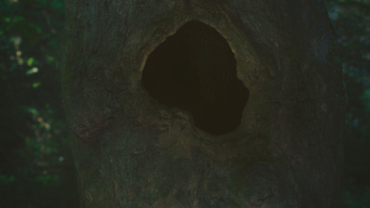 Earthen movie scene