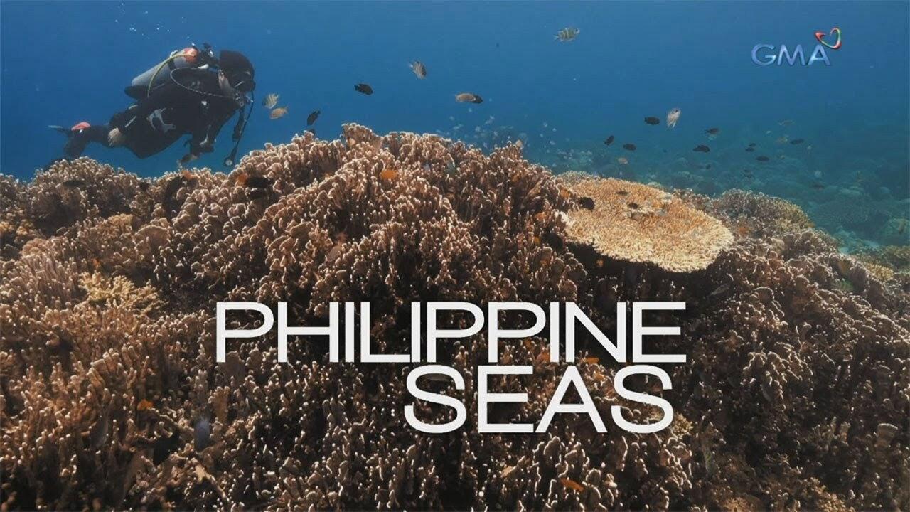 Philippine Seas 2017 movie scene
