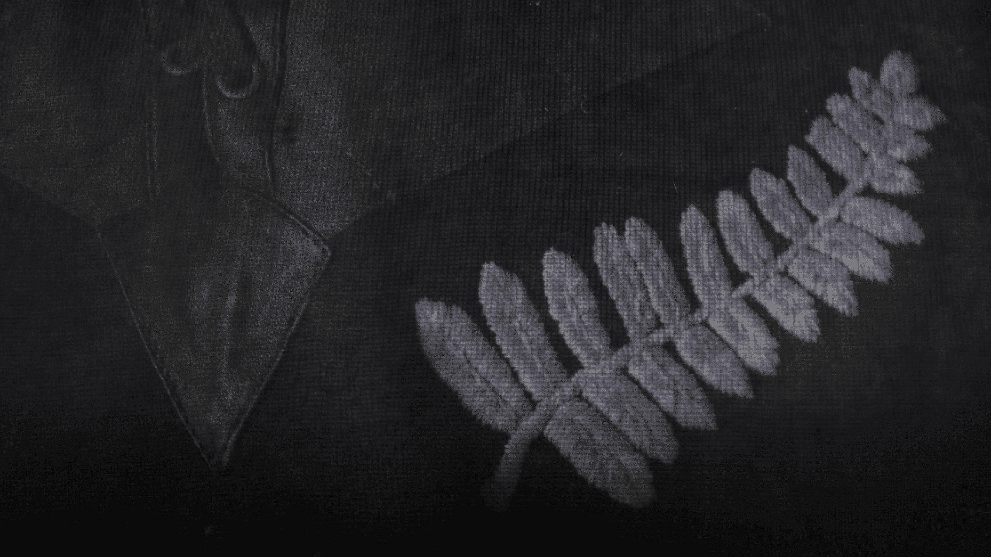 All Blacks at War 2024 movie scene