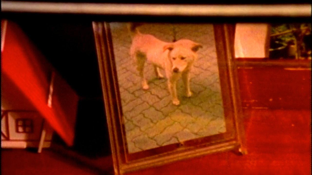 The Memories in My Frame 1994 movie scene