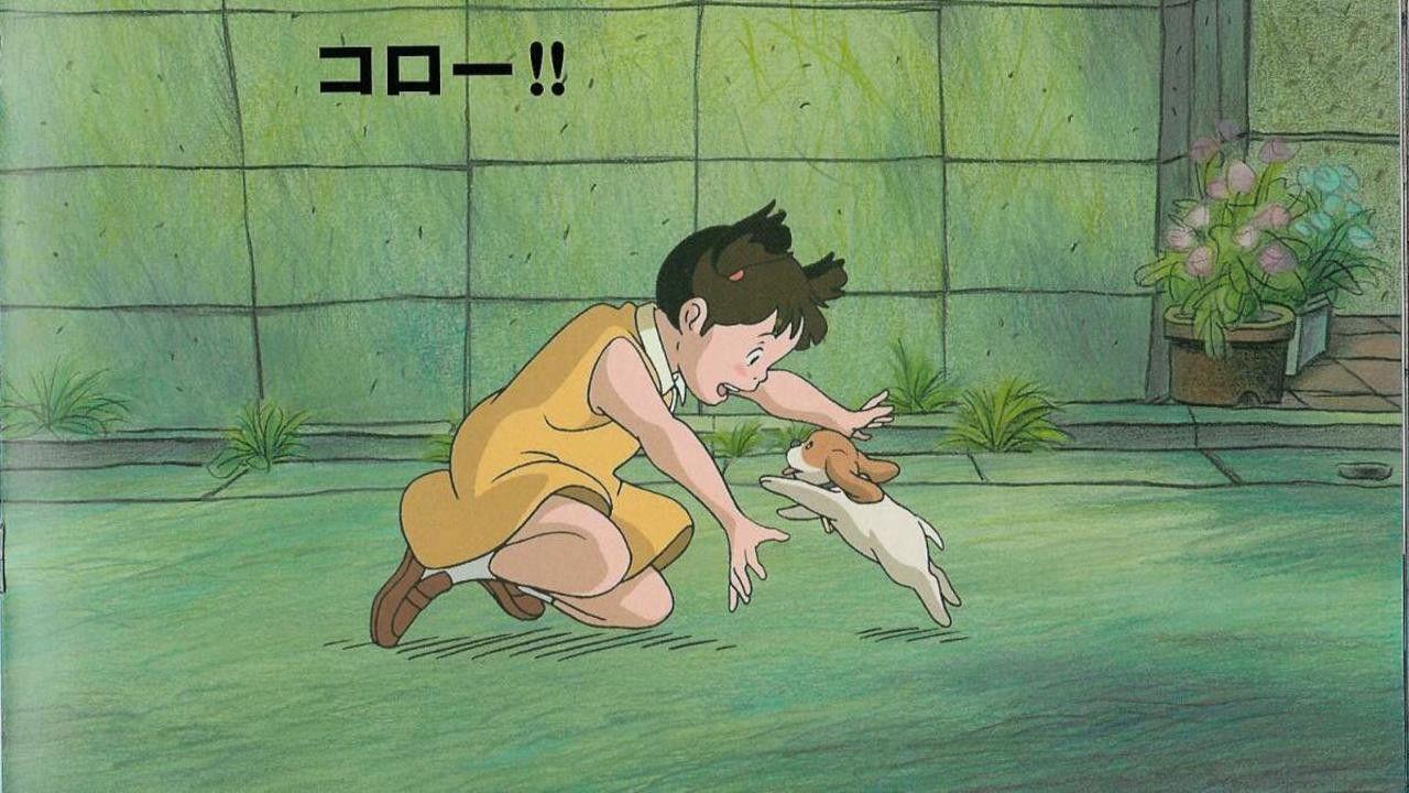 Koro's Big Day Out 2002 movie scene