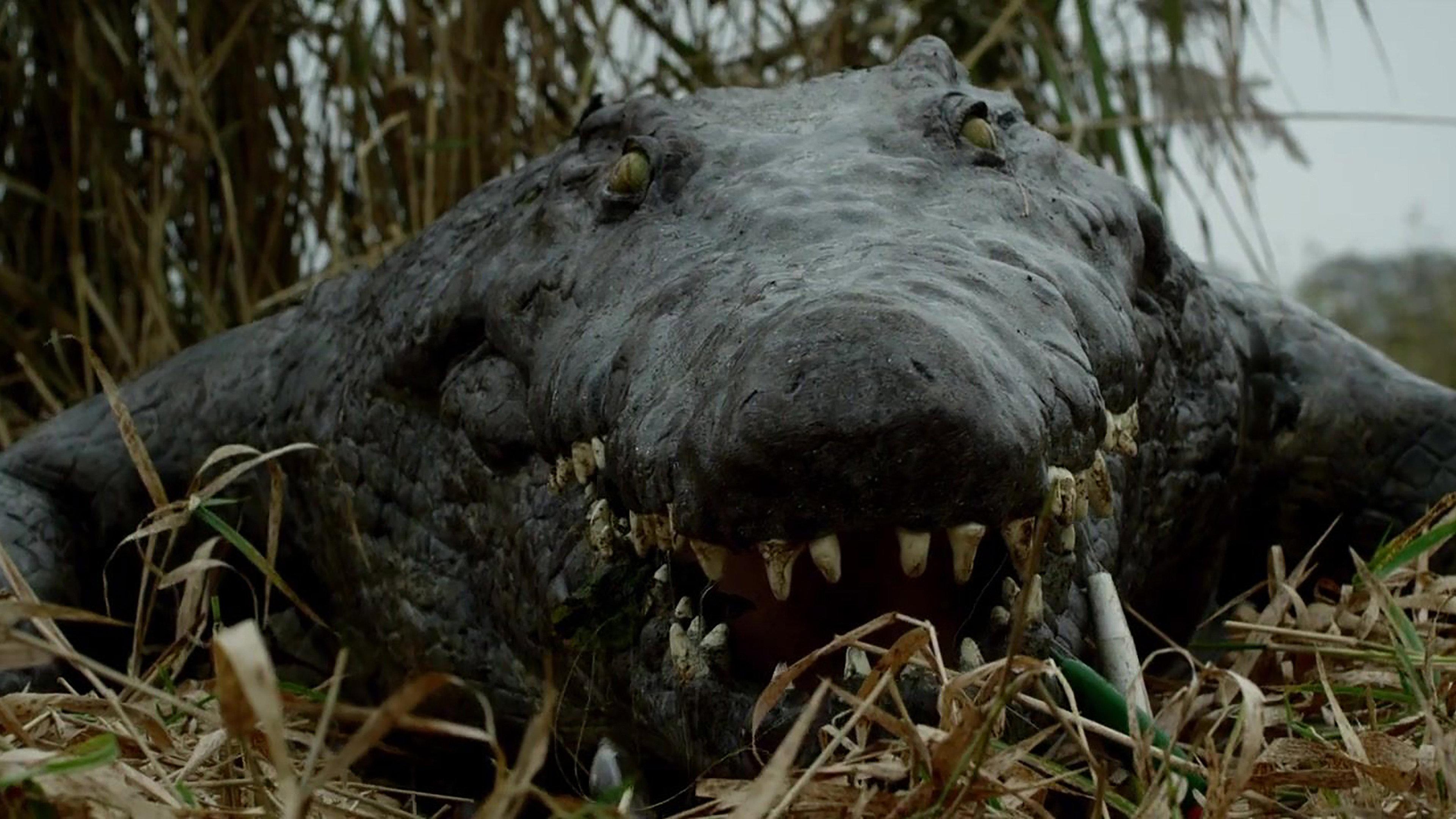 The Hatching 2014 movie scene