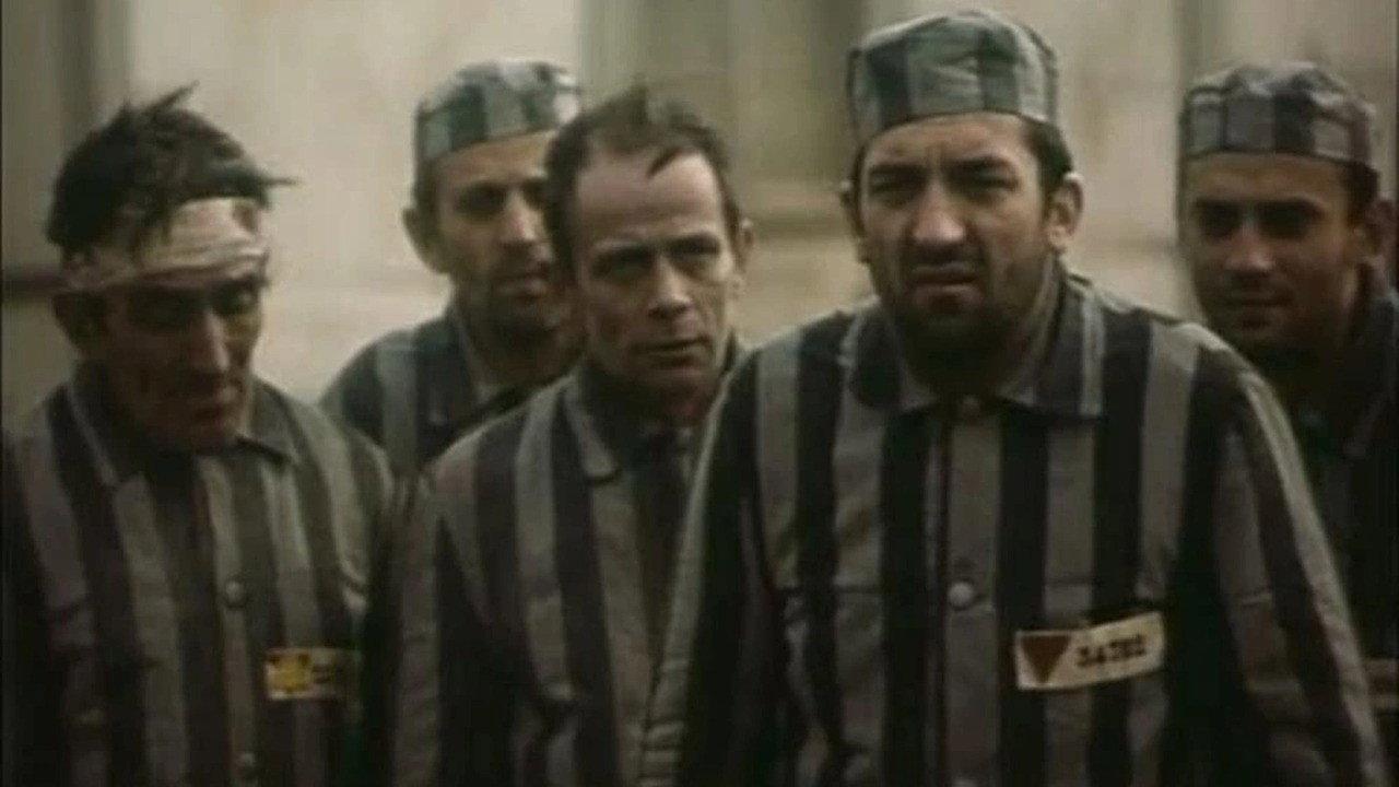 Manifesto for Freedom 1974 movie scene