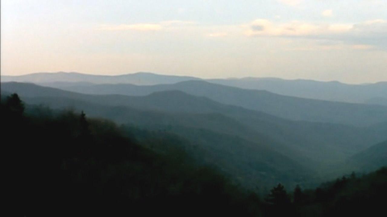 Bigfoot Witness 2015 movie scene