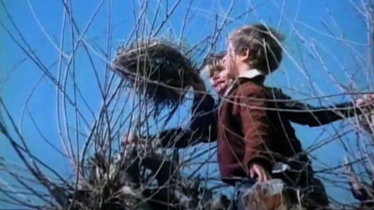 Little Angel, Make Me Happy 1993 movie scene