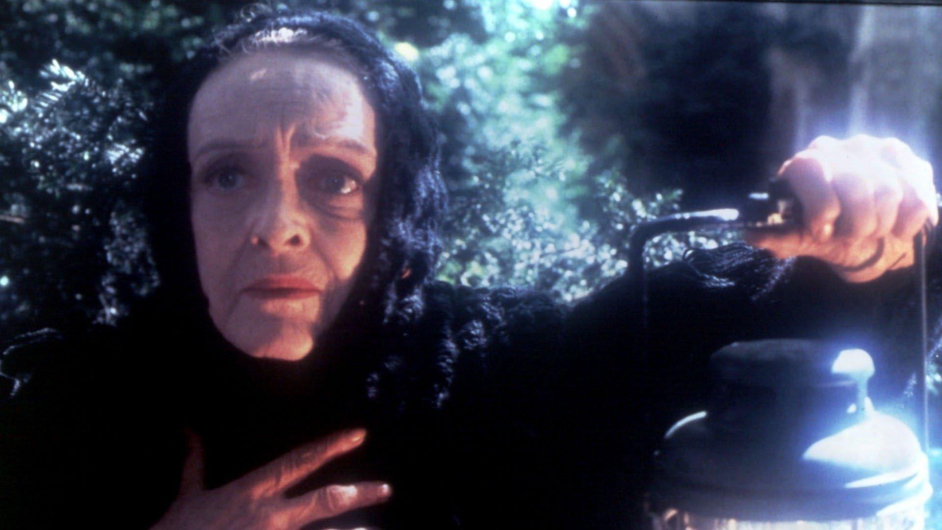 The Watcher in the Woods 1980 movie scene
