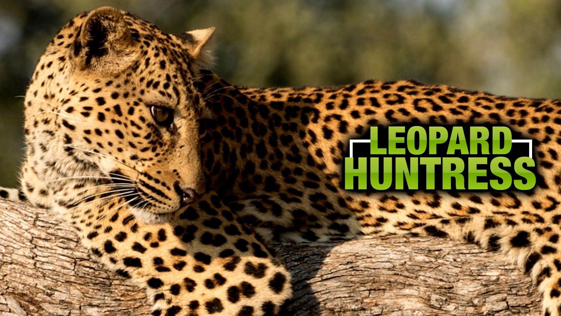 Leopard Huntress 2018 movie scene