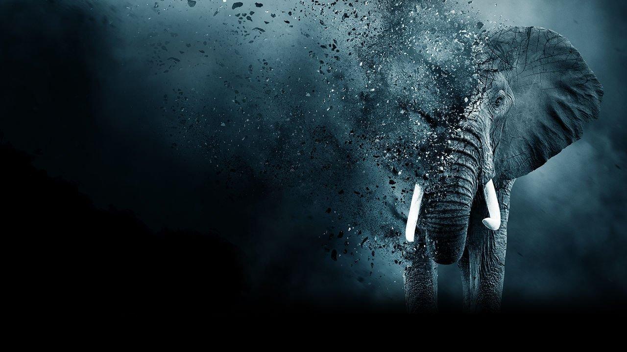 The Ivory Game 2016 movie scene