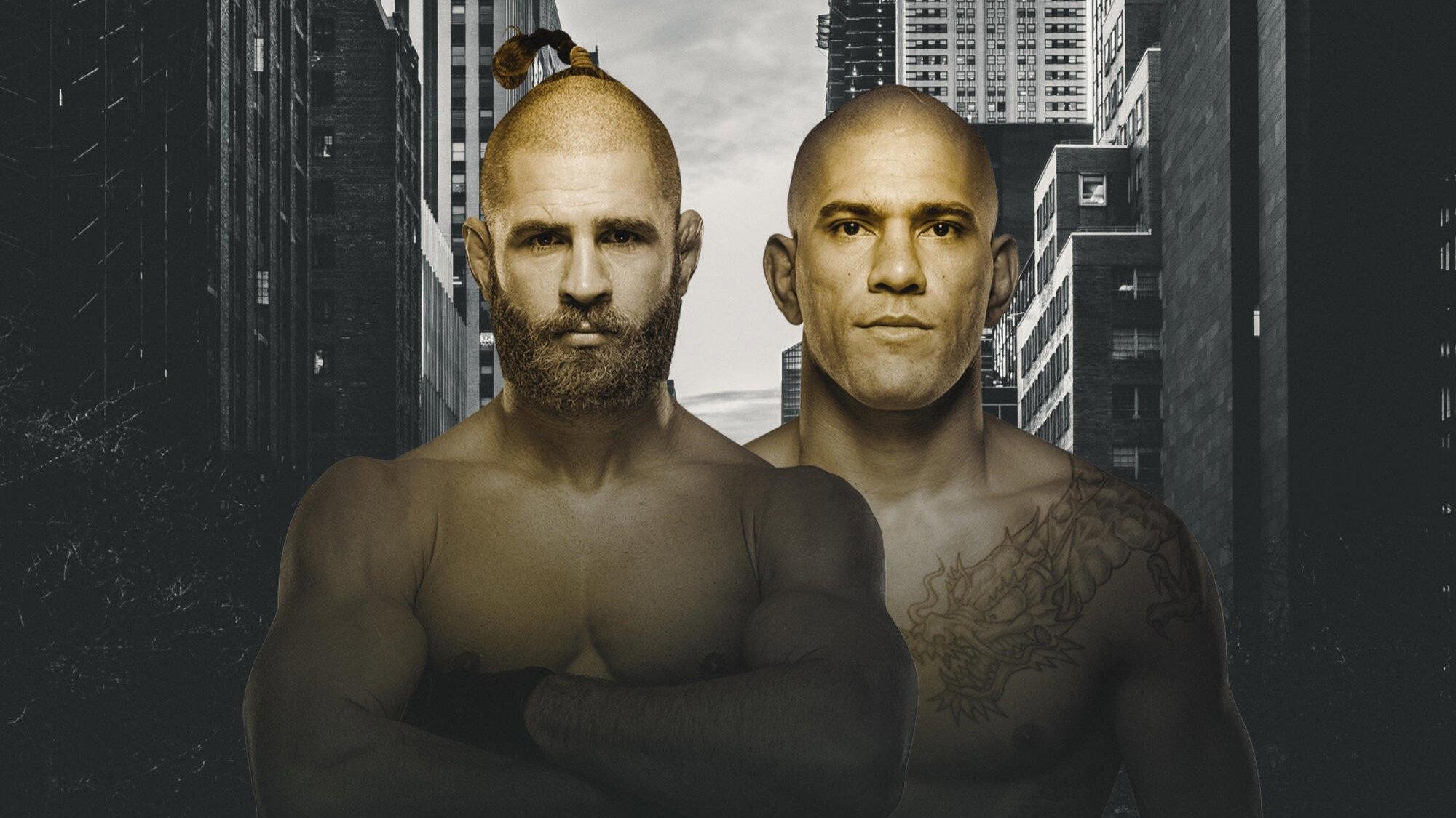 UFC 295: Prochazka vs. Pereira 2023 movie scene