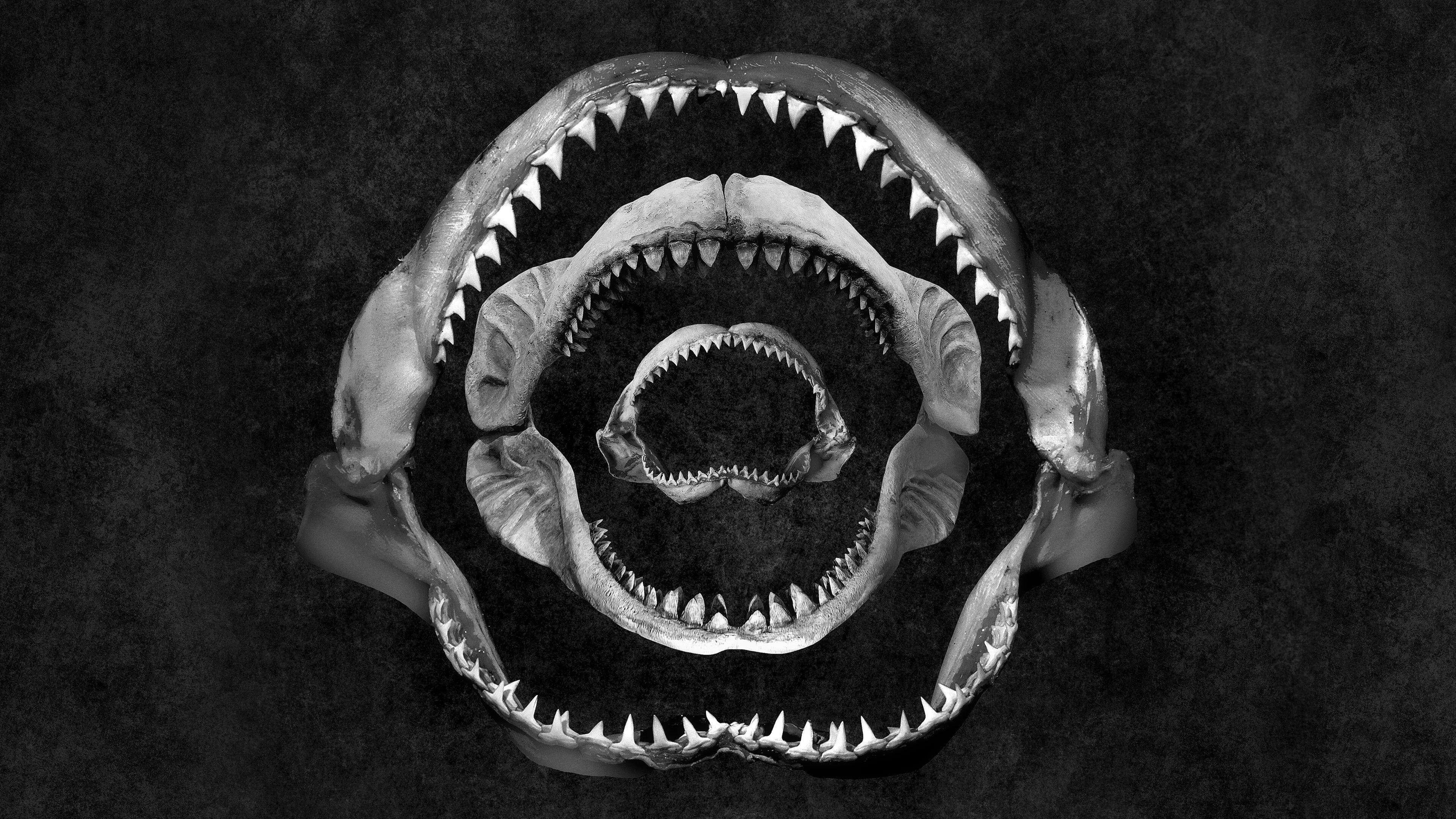Shark Eat Shark 2023 movie scene