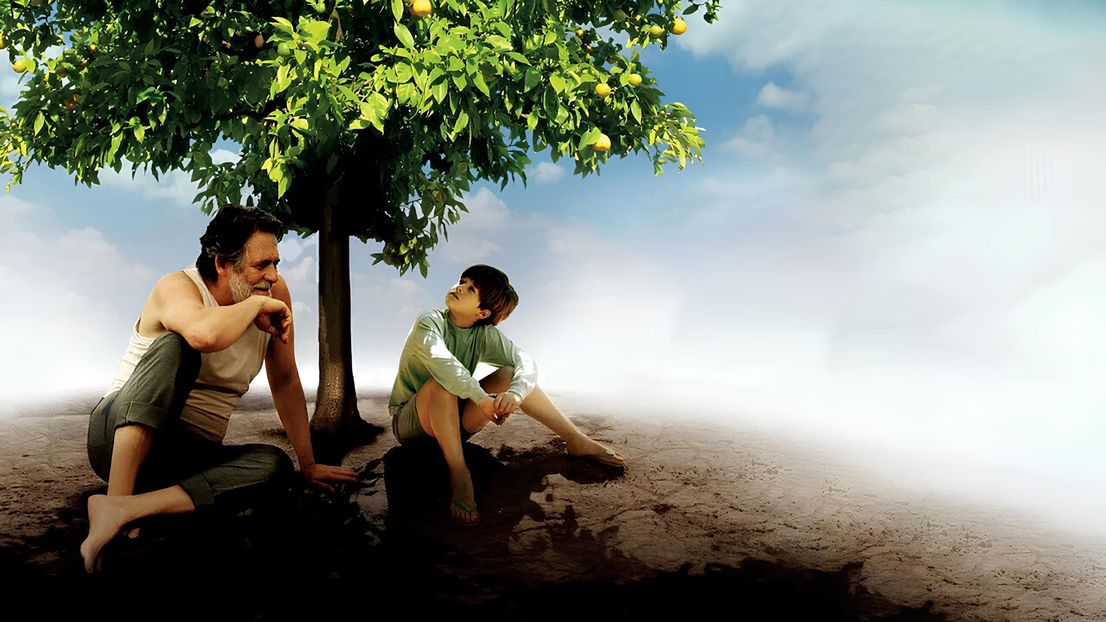 My Sweet Orange Tree 2012 movie scene