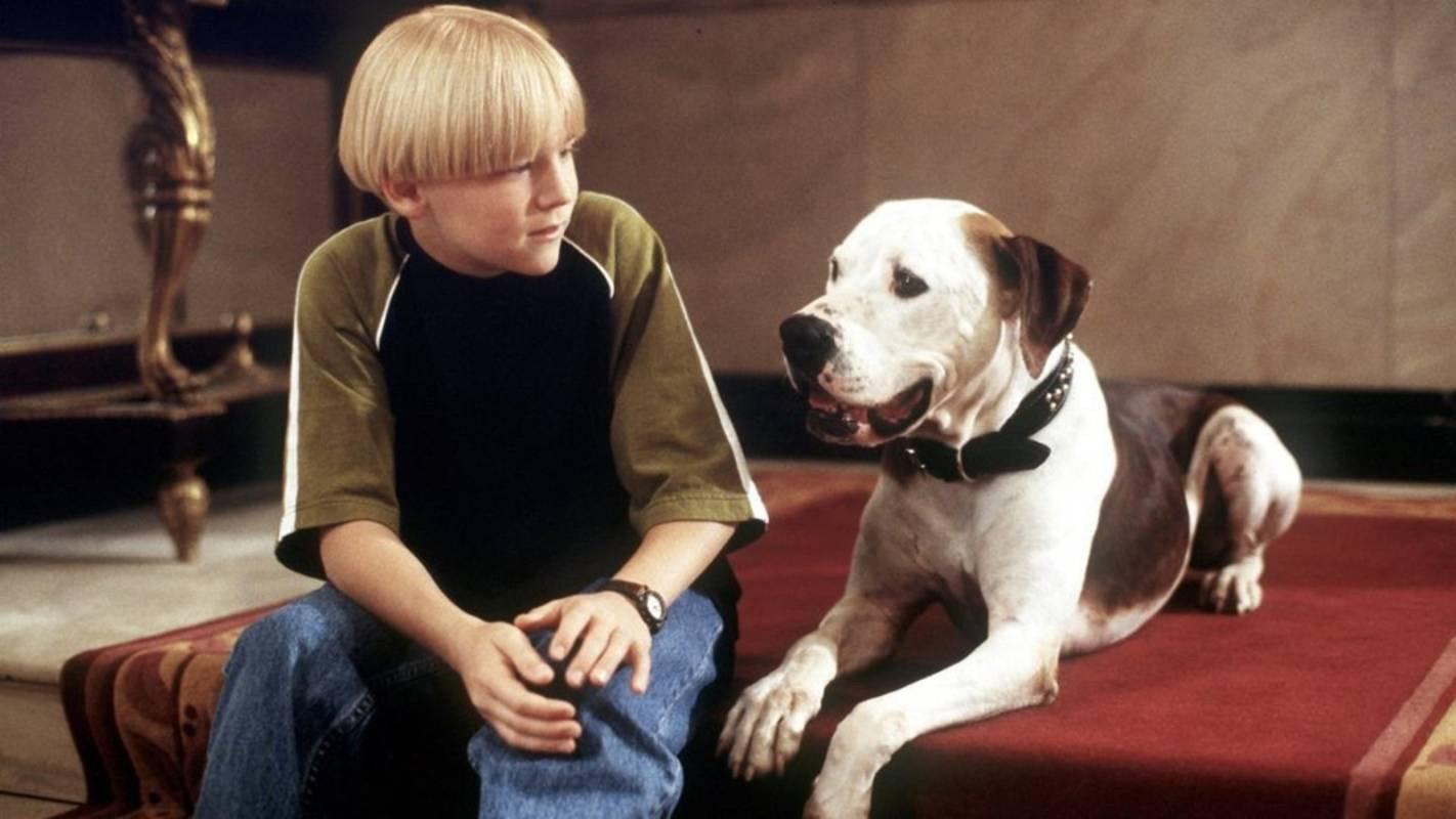 The Pooch and the Pauper 2000 movie scene