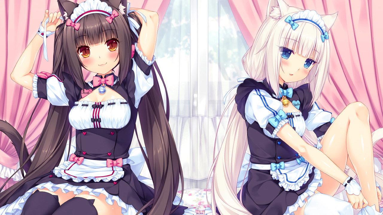 NEKOPARA OVA 2017 movie scene