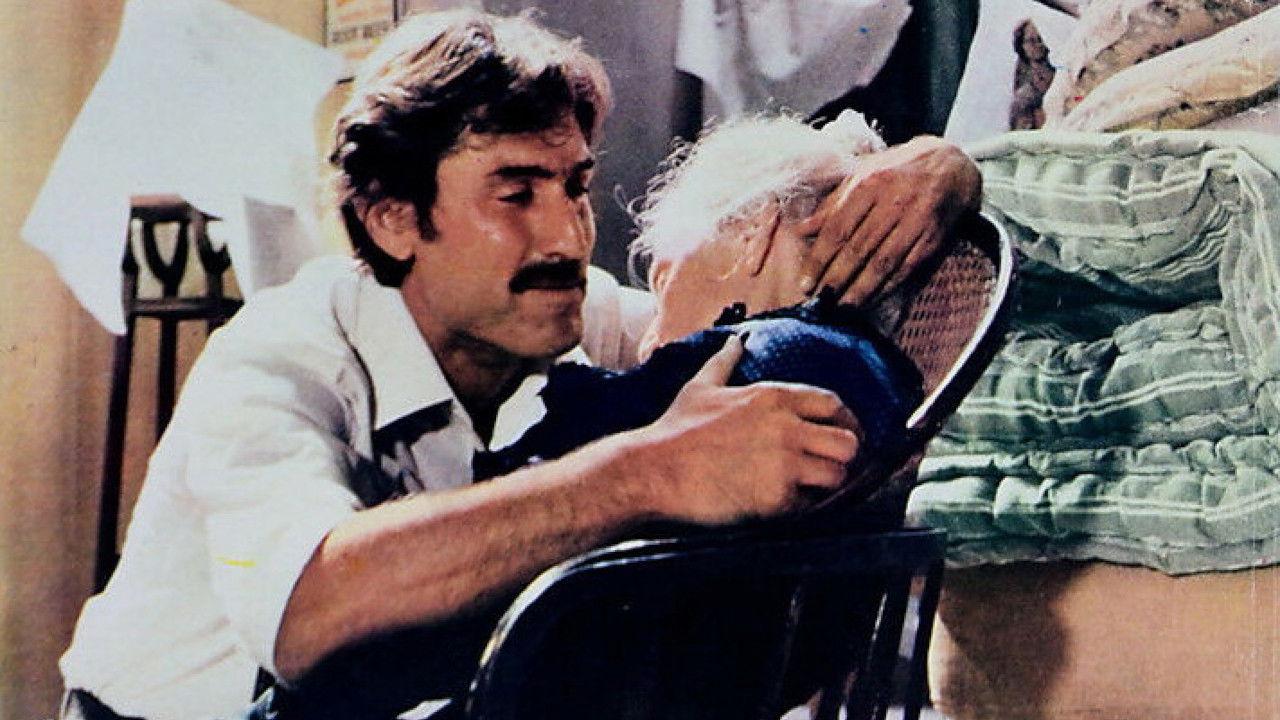 Swept Away by Family Affection 1978 movie scene
