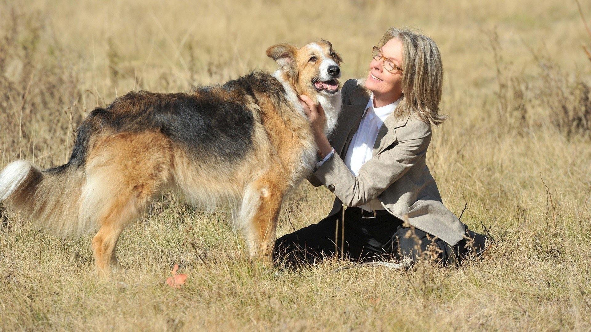 Darling Companion 2012 movie scene