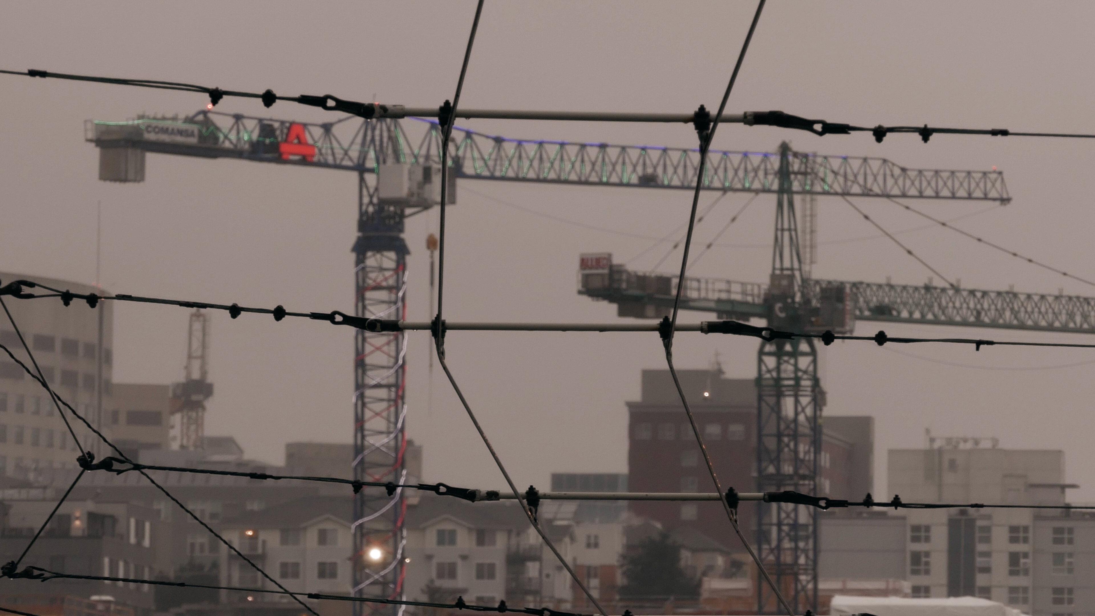 Sea of Cranes 2021 movie scene