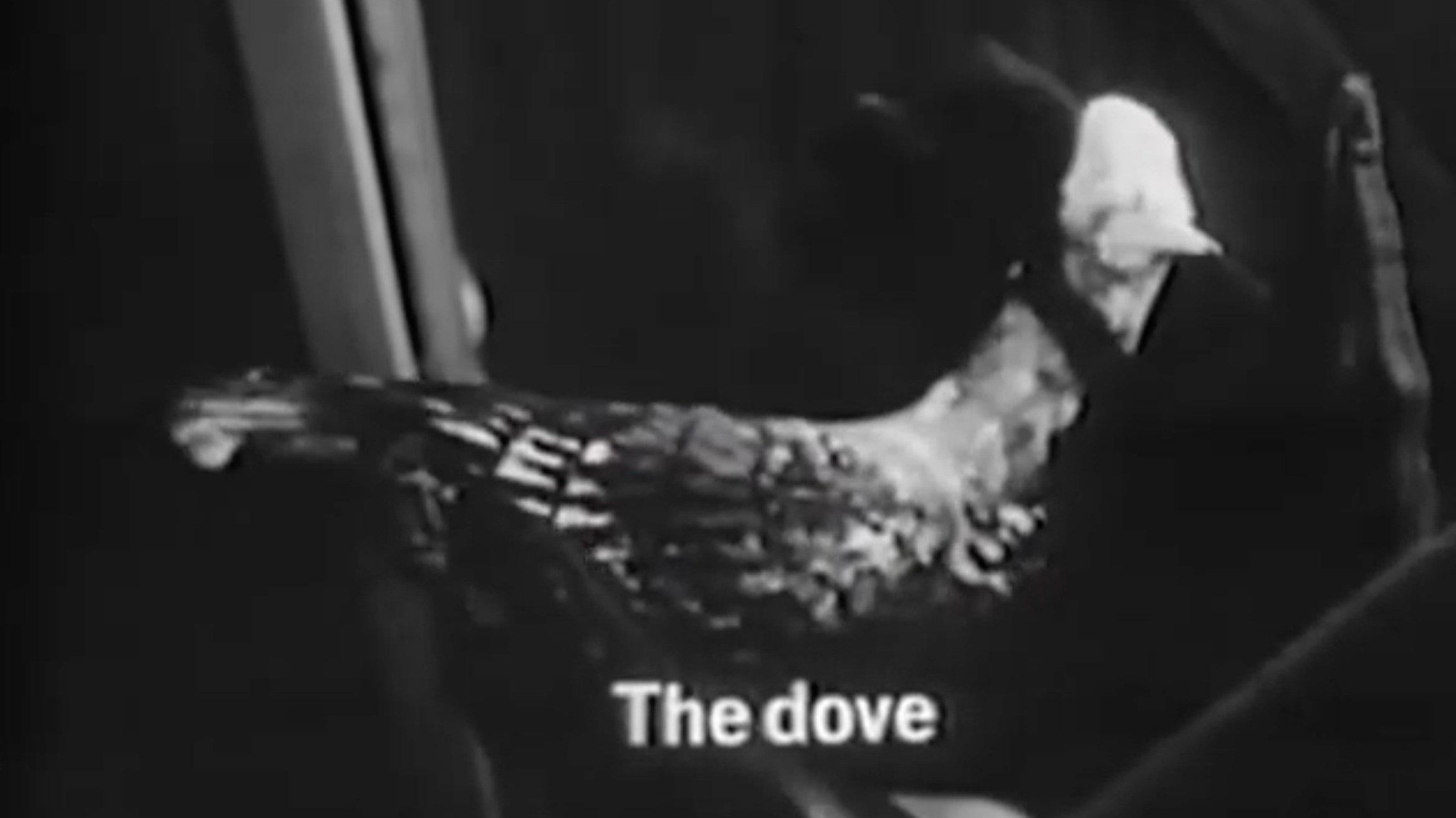 The Dove 1968 movie scene