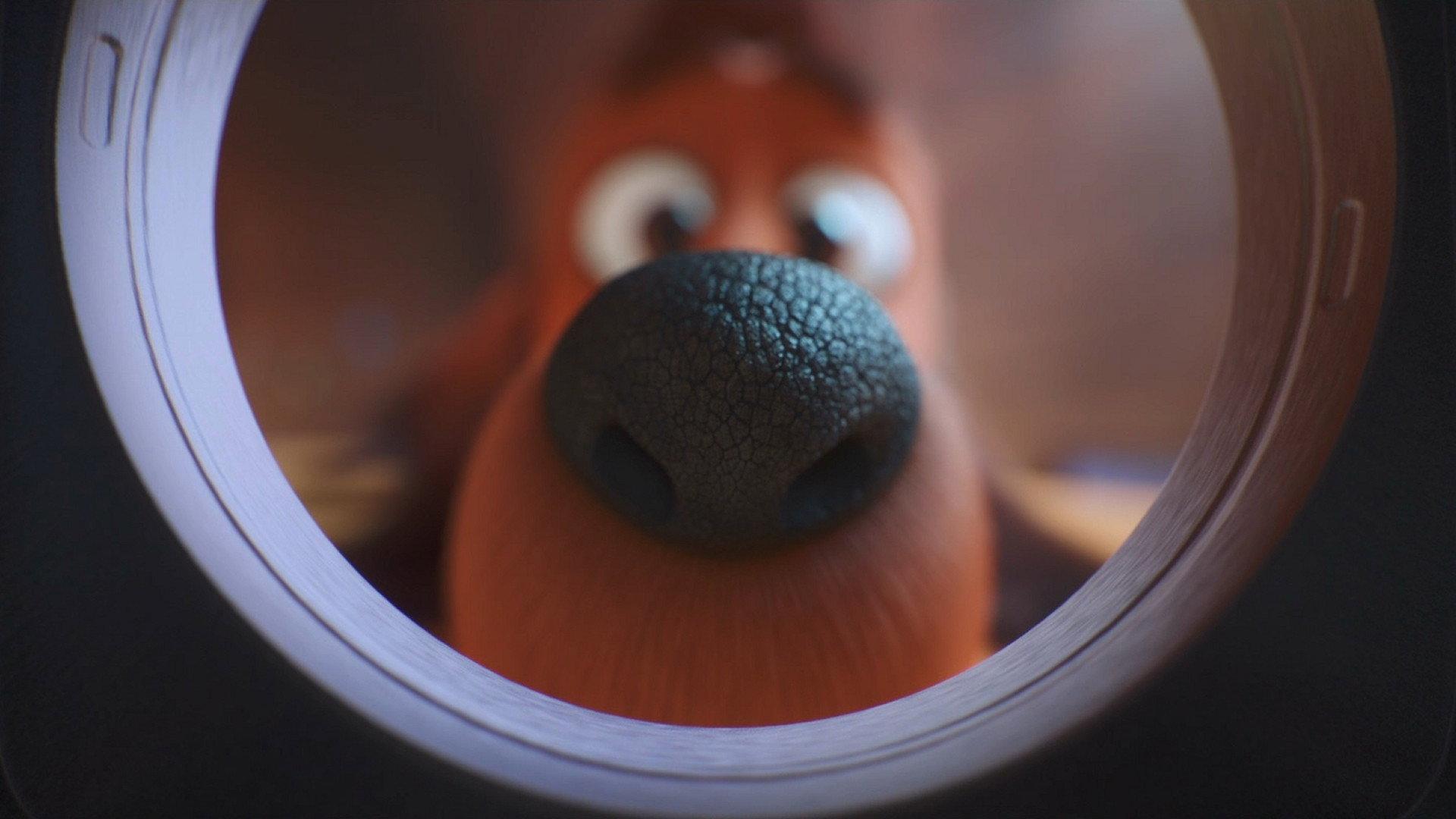 The Dog Days of Winter 2019 movie scene