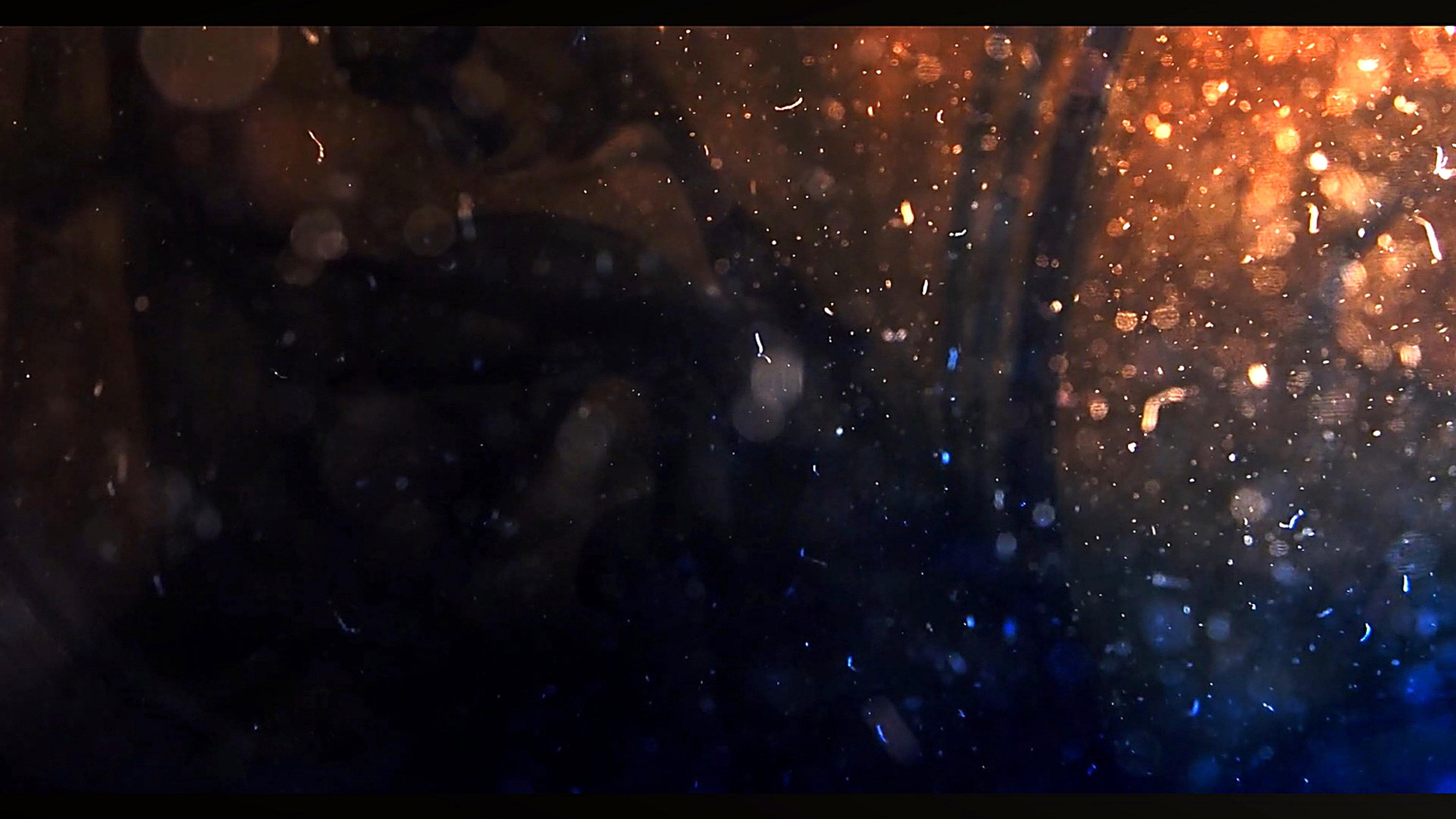 Emergence 2026 movie scene