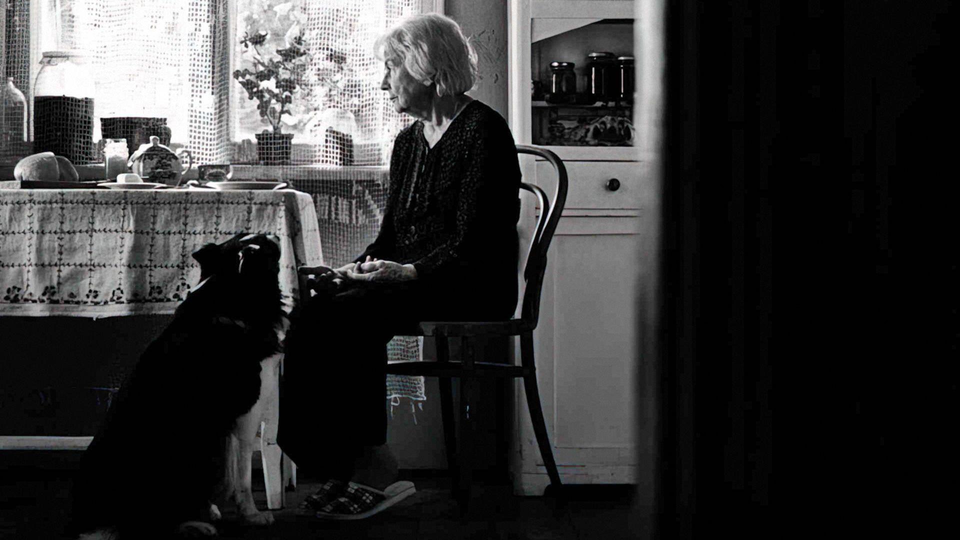 Time to Die 2007 movie scene