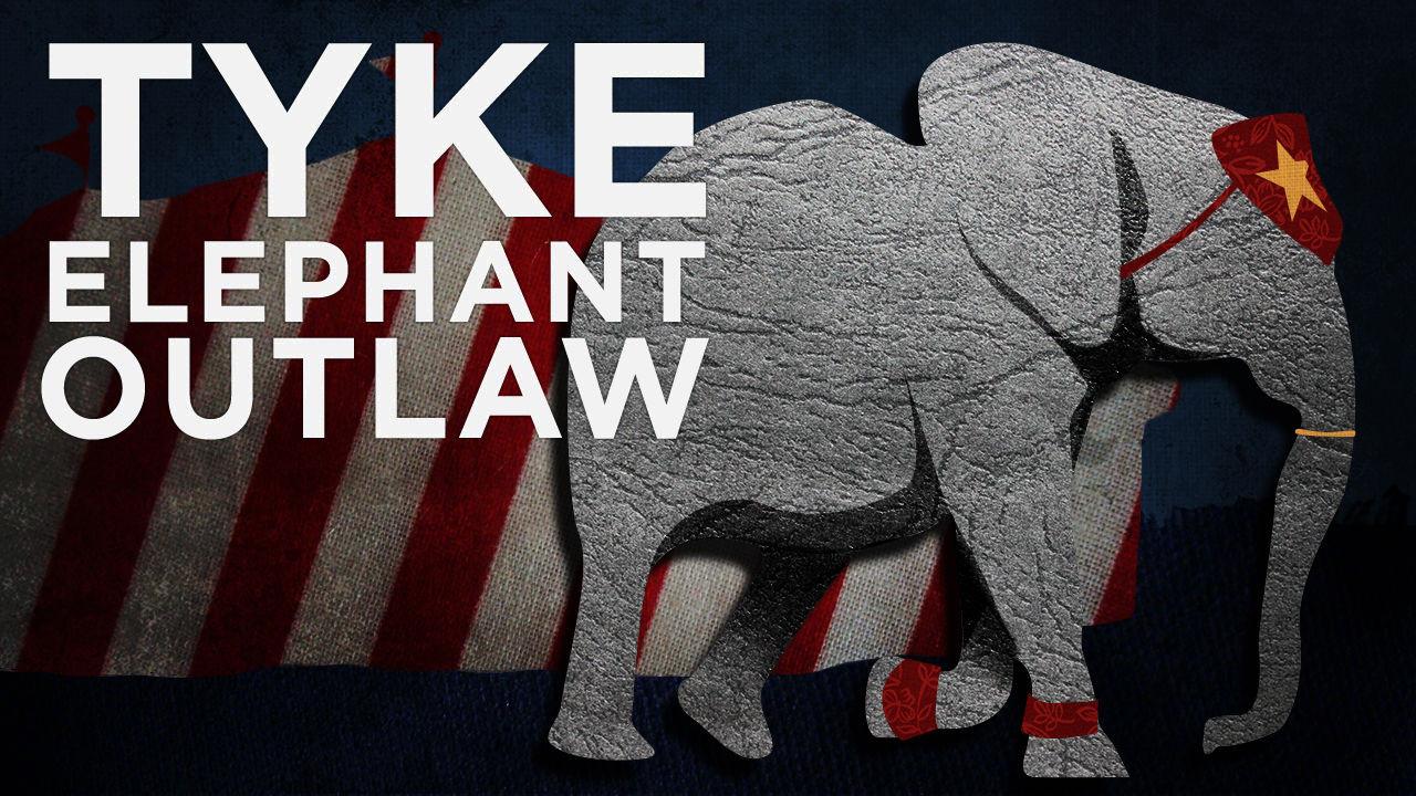 Tyke Elephant Outlaw 2015 movie scene