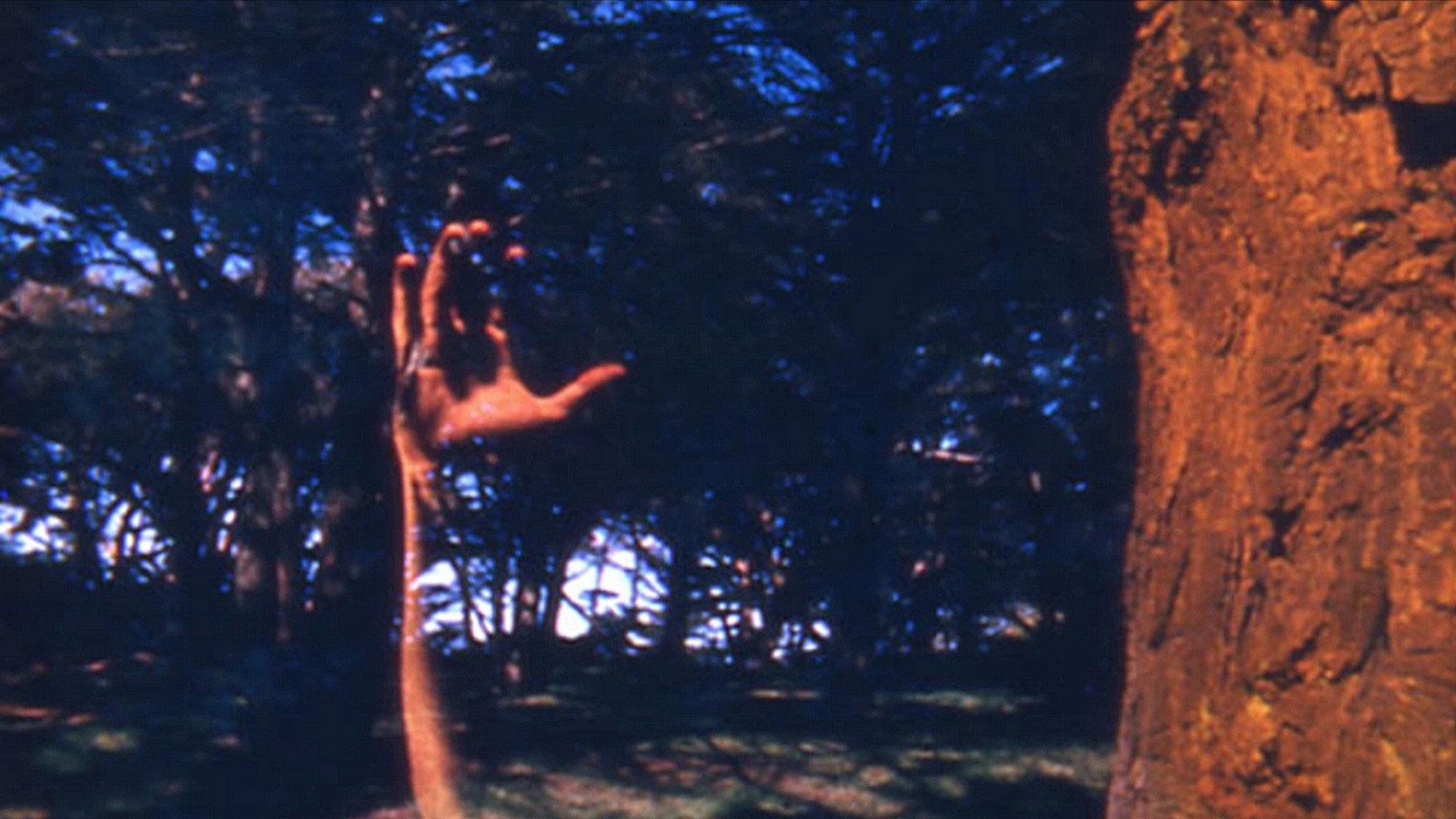 FFFTCM 1967 movie scene
