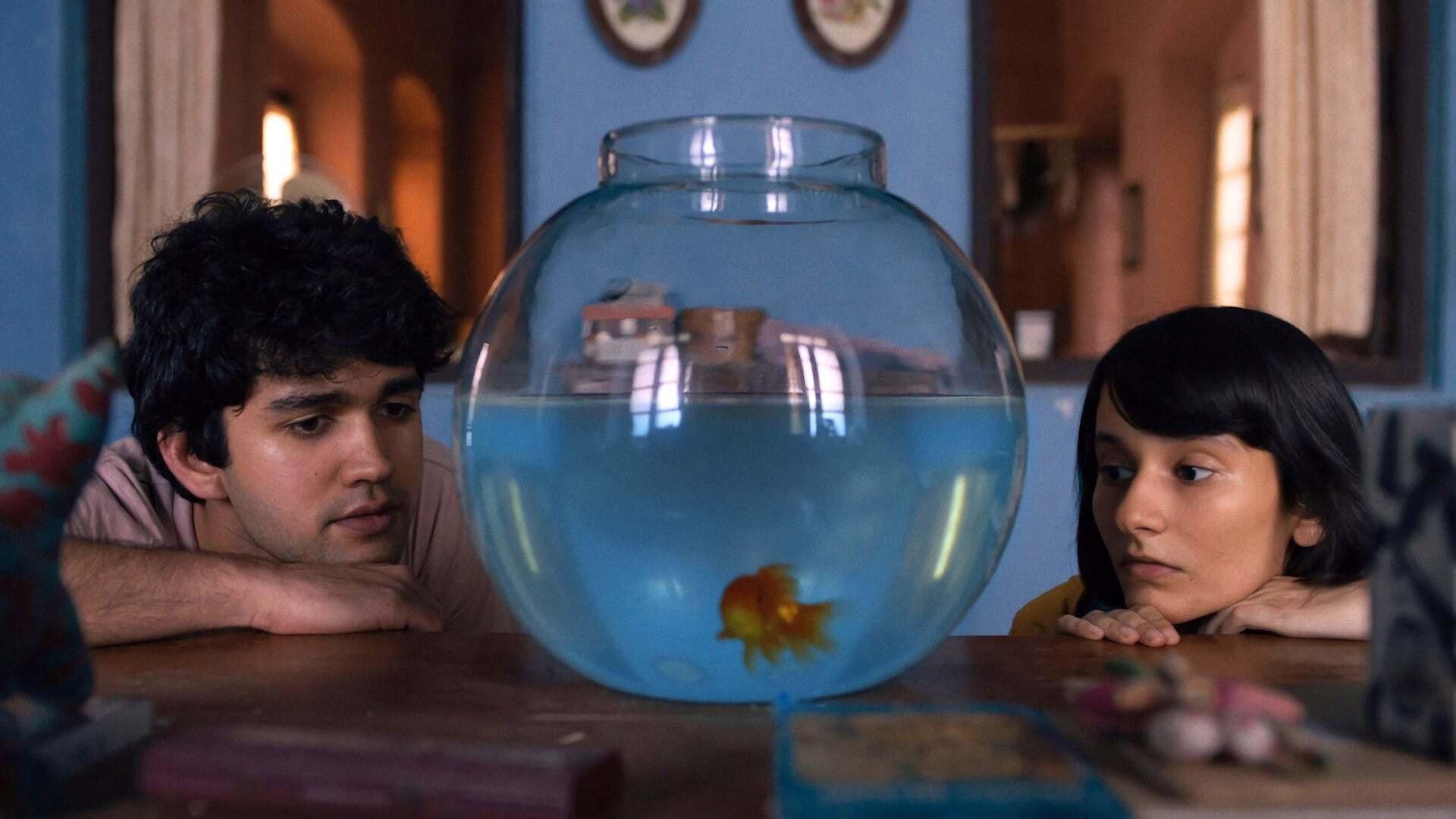 What are the Odds? 2019 movie scene
