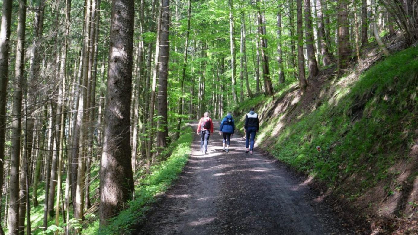 Walking: Miracle Cure for Body and Soul 2022 movie scene
