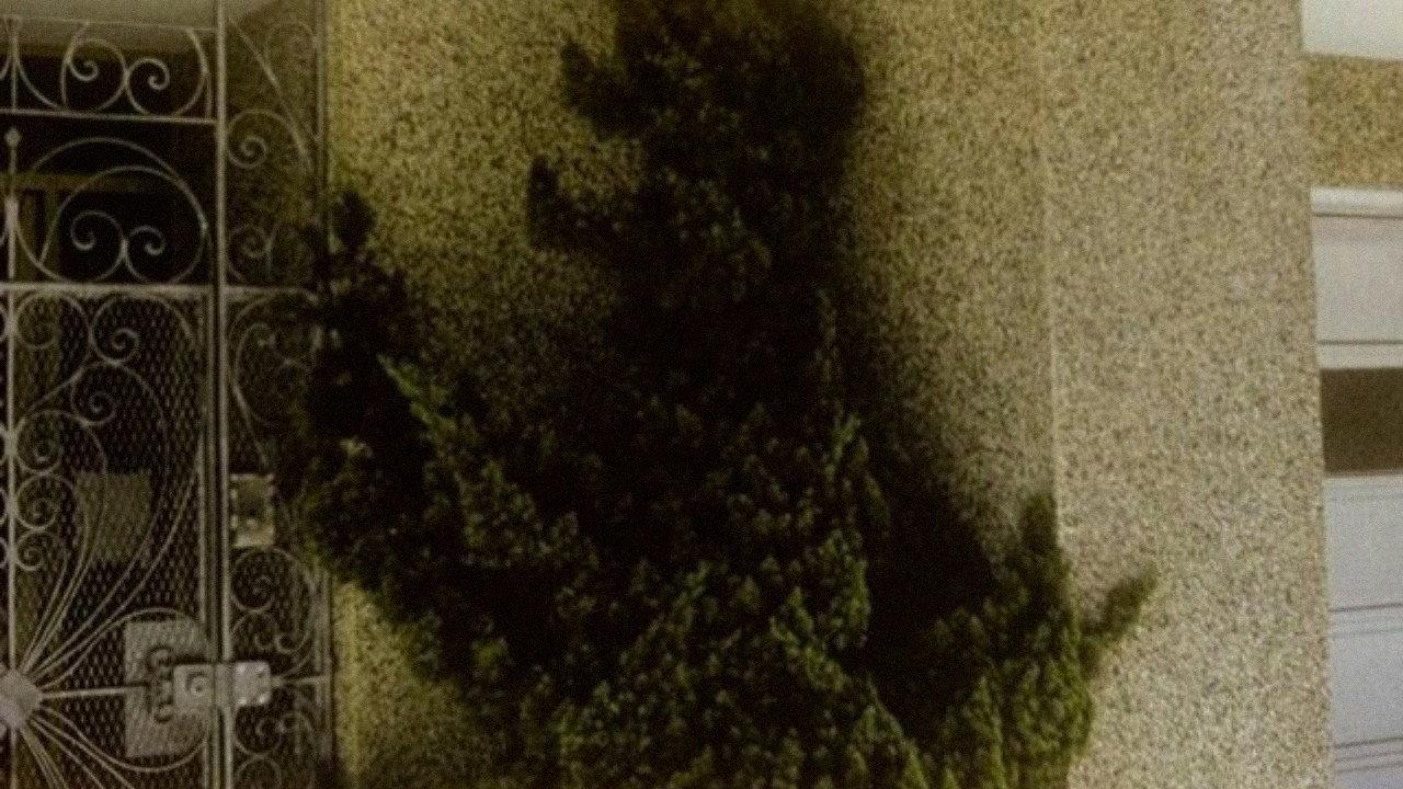 Arbor Vitae 2000 movie scene