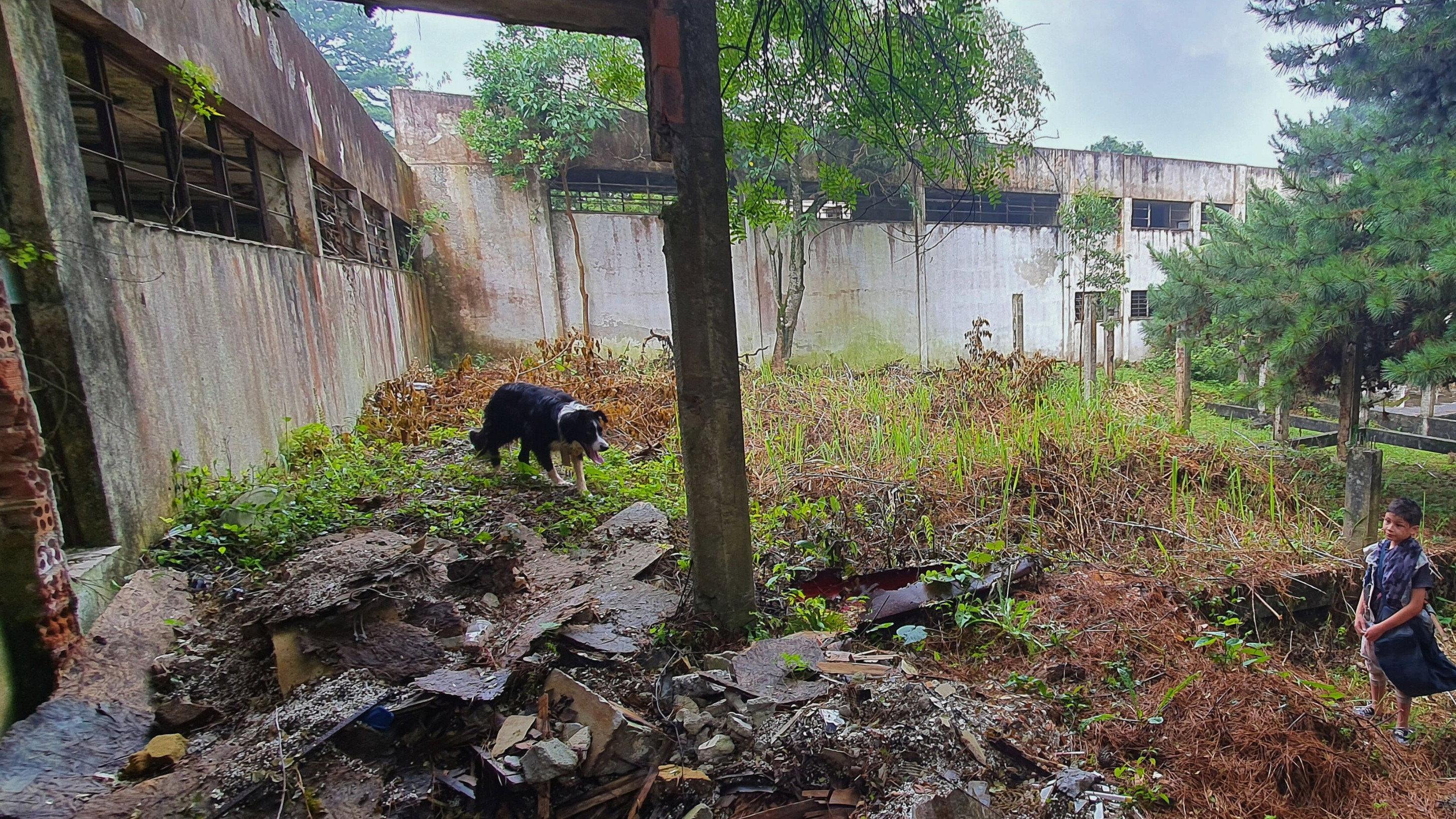 Border 2023 movie scene