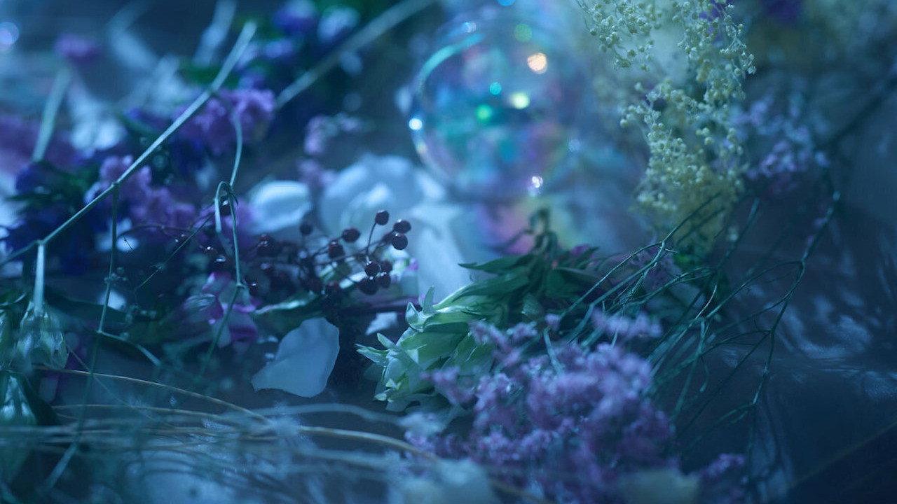 Touken Ranbu: The Musical - Higekiri Solo Performance ~Fleeting Dreams~ 2026 movie scene