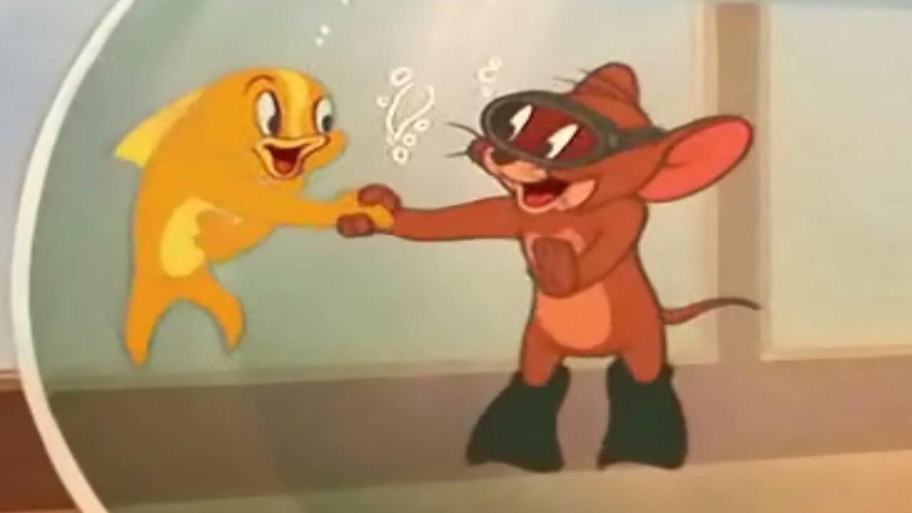 Jerry and the Goldfish 1951 movie scene