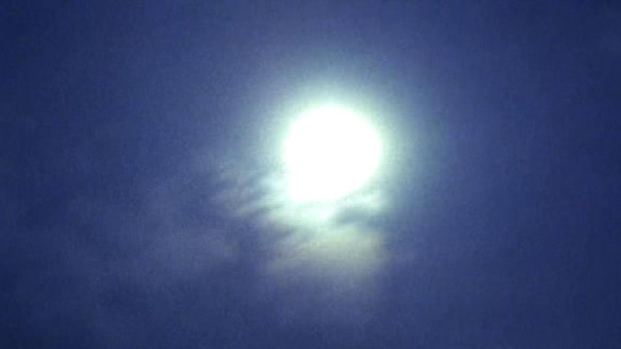 The Intimate Stars 2004 movie scene