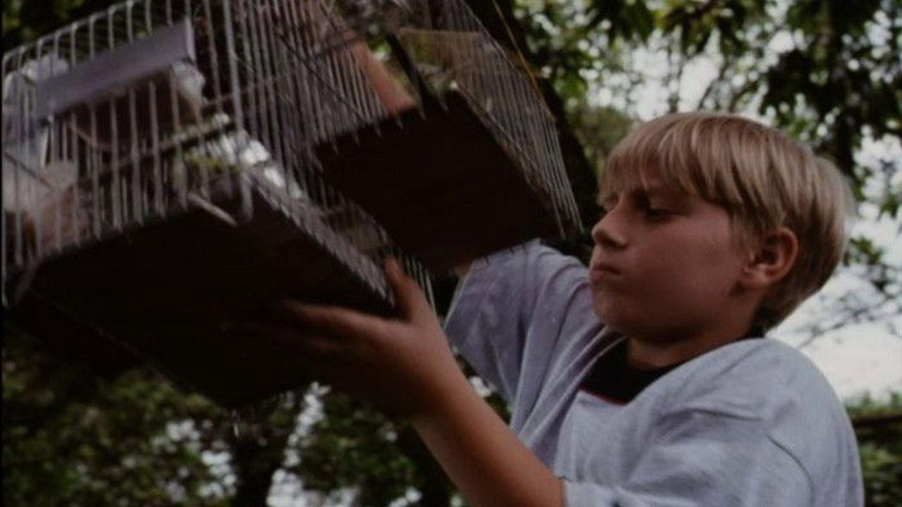O Velho do Saco 1999 movie scene