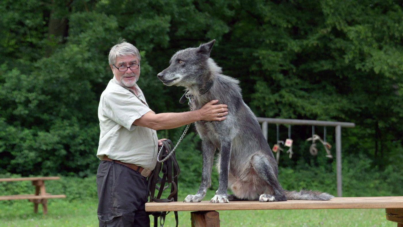 Wolves Return 2019 movie scene