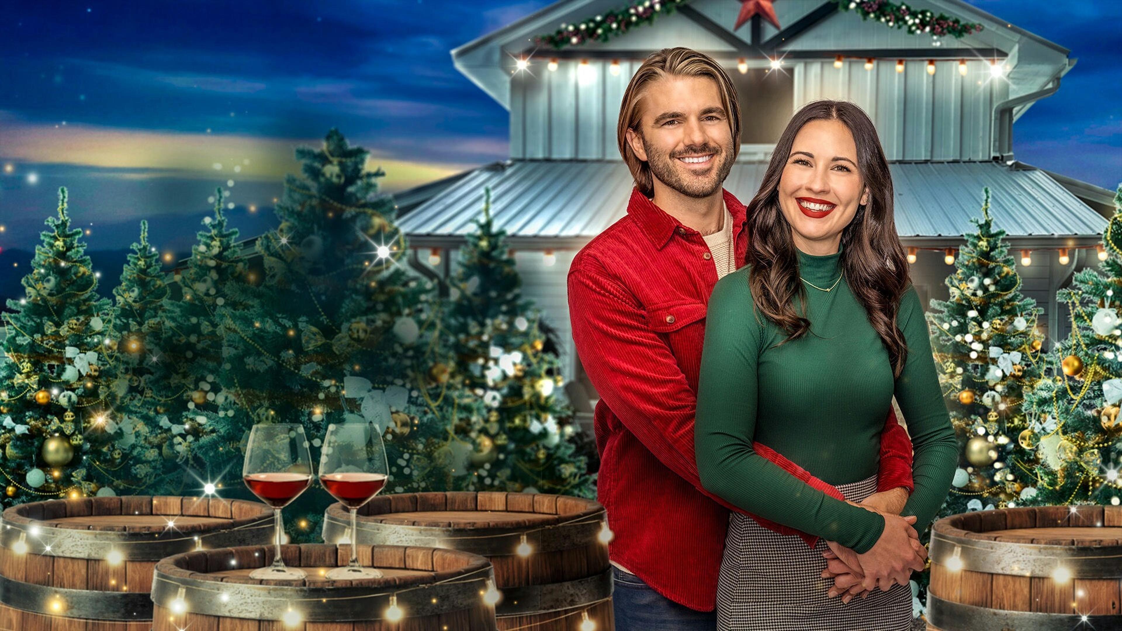 A Perfect Christmas Pairing 2023 movie scene