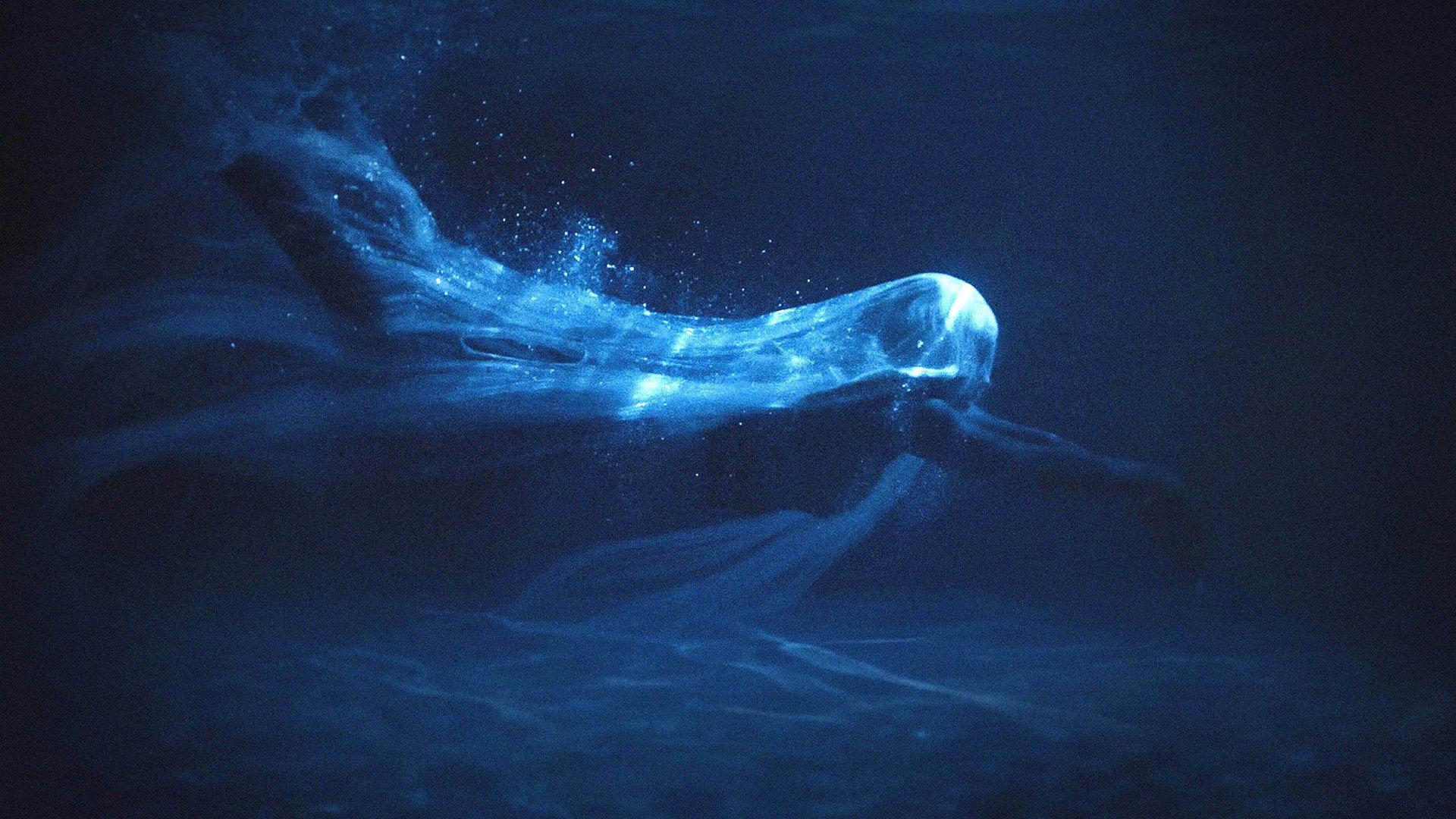 Water 2019 movie scene