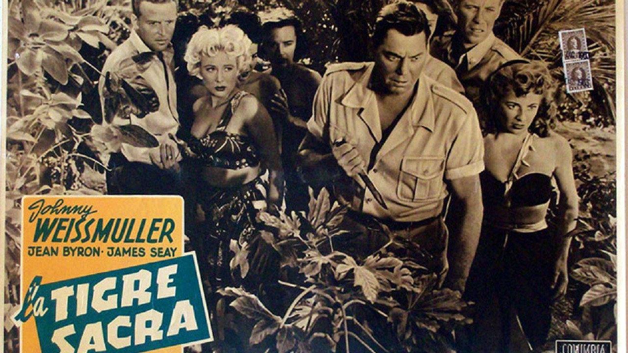 Voodoo Tiger 1952 movie scene