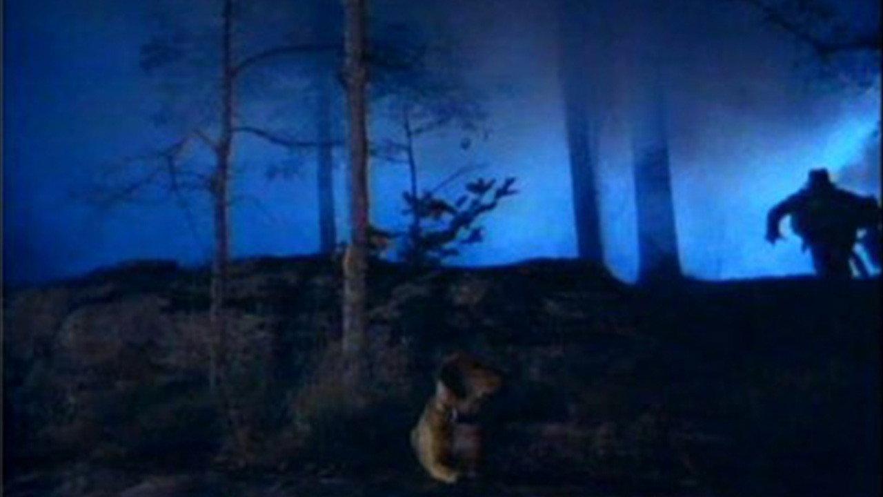 The Legend of Hillbilly John 1974 movie scene