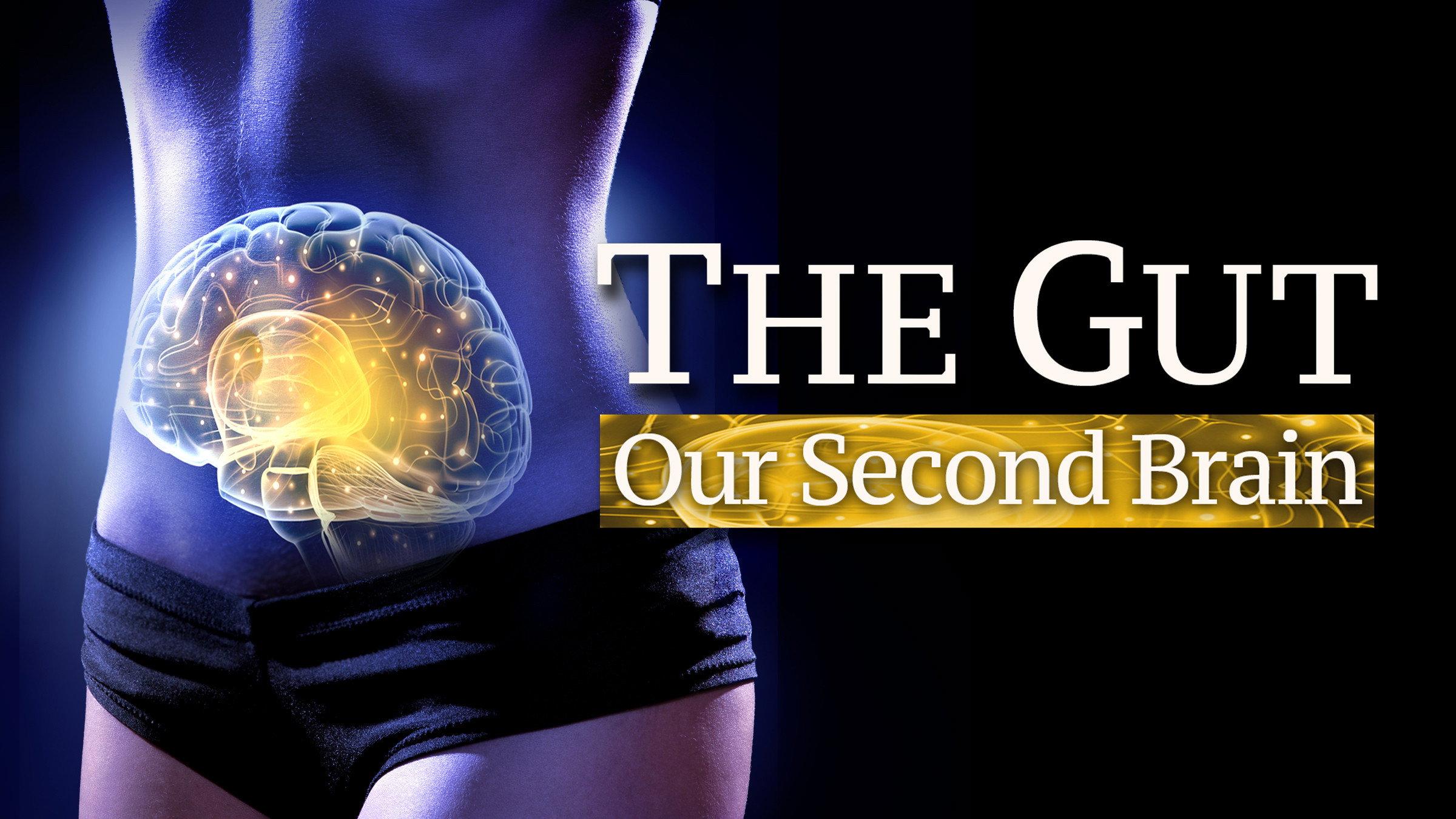 The Gut: Our Second Brain 2014 movie scene