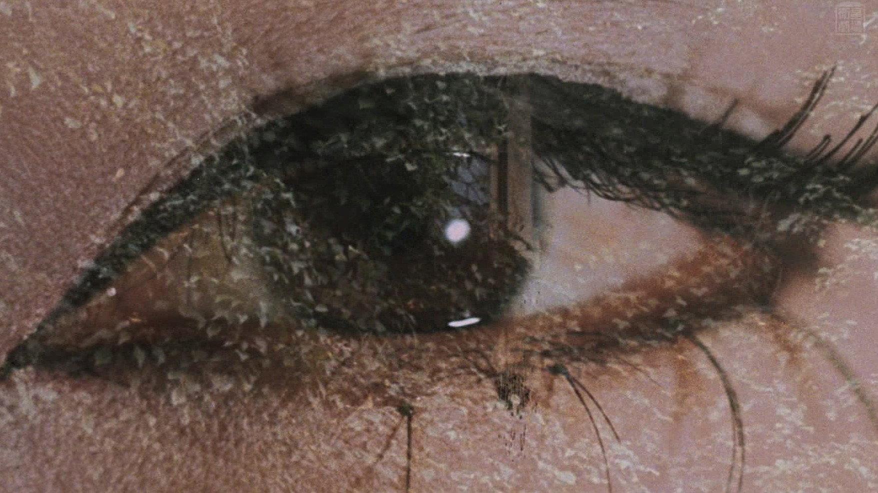 Aido: Slave of Love 1969 movie scene