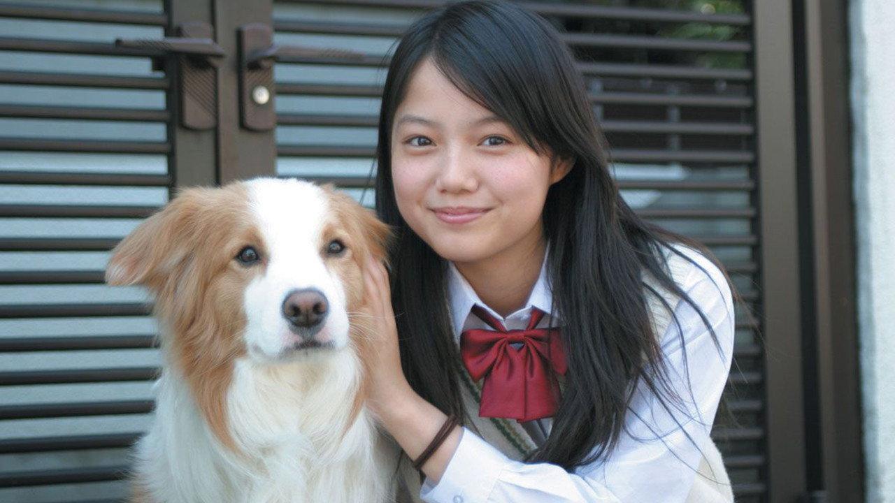 All About My Dog 2005 movie scene